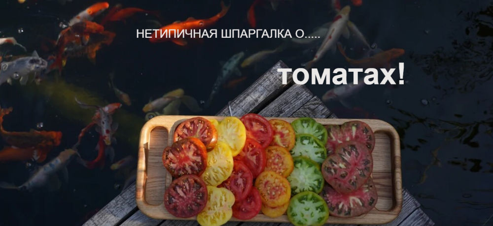 [Нетипичный Фермер] Анна Акинина ― Нетипичная шпар_0.png